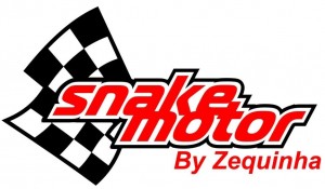 snake-motor